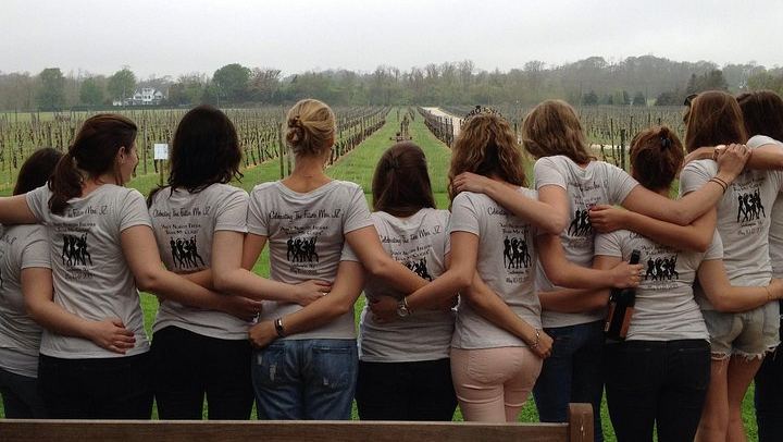 Niagara-on-the-Lake Afternoon Boutique Winery Tour with Cheese Pairing, Groups of 4-10 (1/11)