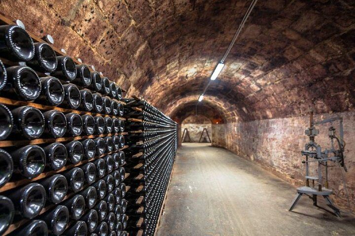 Private Door-to-Door Champagne Tour from Paris: Family Cellar Tasting and Hautvillers (10/12)