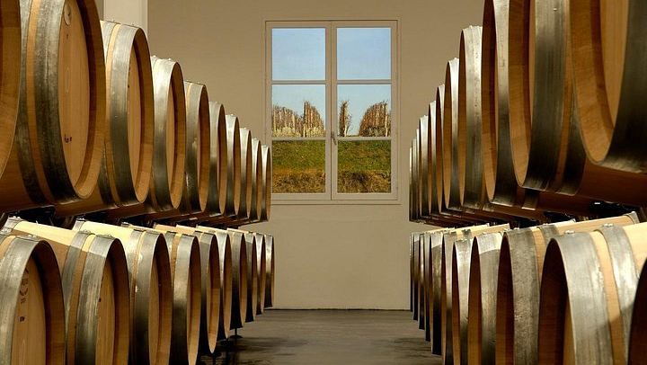 Private Half-Day Saint-Émilion Wine Tour from Bordeaux with English-Speaking Guide (3/10)