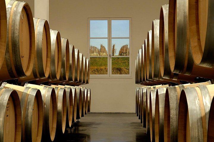 Private Half-Day Saint-Émilion Wine Tour from Bordeaux with English-Speaking Guide (3/10)