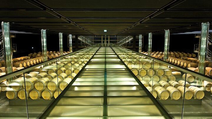 Private Half Day Médoc Wine Tour from Bordeaux with Hotel Pickup and 2 Winery Tastings (2/8)