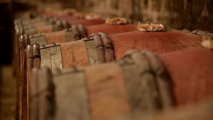 Full-Day Private Burgundy Tour: 3 Tastings, Estate Lunch, 6 Premiers & Grands Crus (3/12)