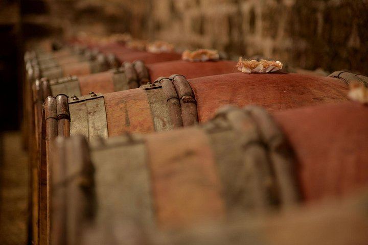 Full-Day Private Burgundy Tour: 3 Tastings, Estate Lunch, 6 Premiers & Grands Crus (3/12)