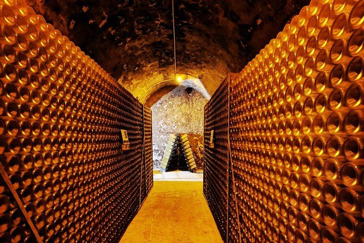 Reims Champagne Day Trip: City Sights, Cathedral, Veuve Clicquot, Rilly-la-Montagne Grower (8/10)