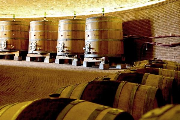Brunello di Montalcino Day Tour from Siena: Three Wineries, Lunch, Sant'Antimo Abbey