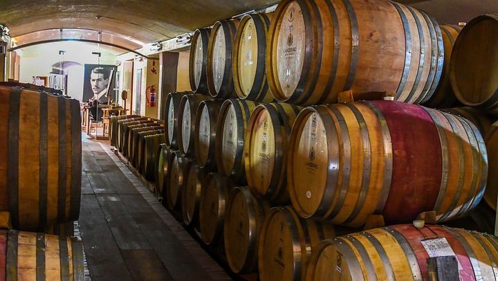 Guided Mountain Bike Tour of Stellenbosch with Lanzerac and Stark-Conde Wine Tastings (4/9)