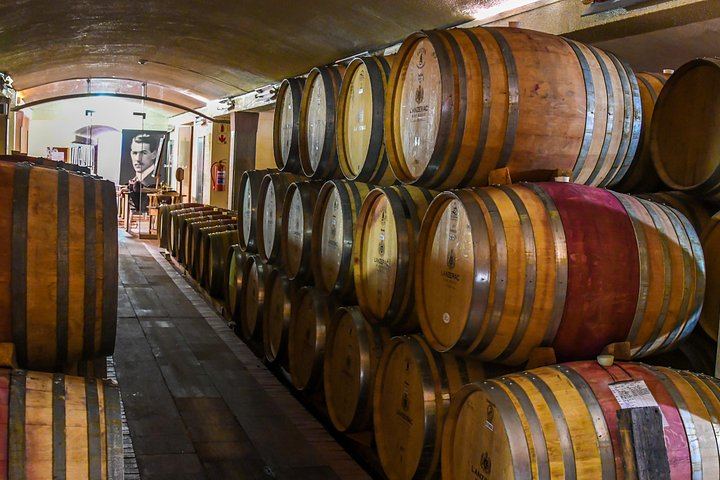 Guided Mountain Bike Tour of Stellenbosch with Lanzerac and Stark-Conde Wine Tastings (4/9)