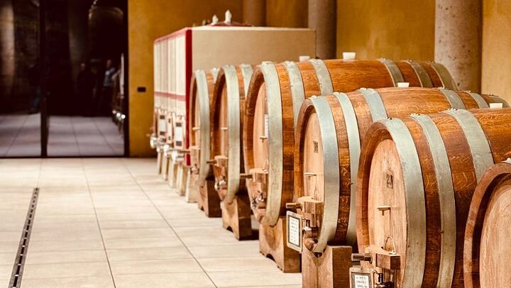 Private Tesla Wine Tour from Alba: Barolo and Barbaresco with Sommelier Pier and Chiara (4/12)