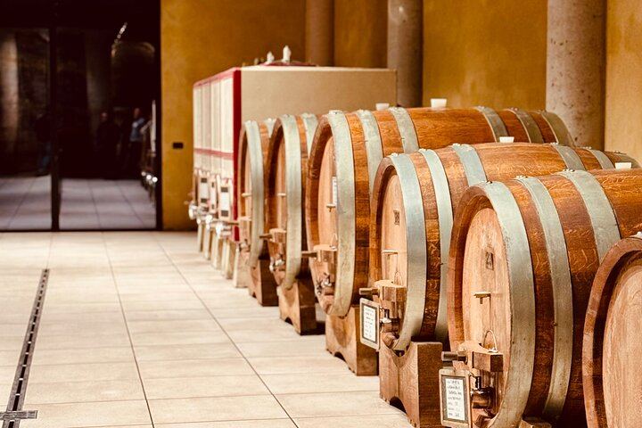 Private Tesla Wine Tour from Alba: Barolo and Barbaresco with Sommelier Pier and Chiara (4/12)