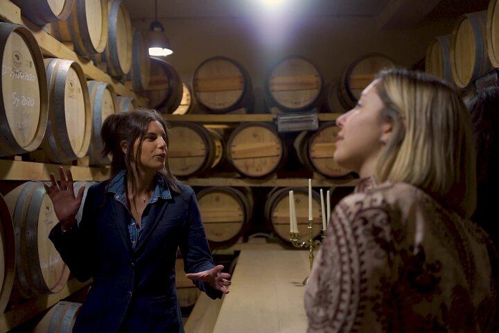 Chianti, Montalcino and Montepulciano by Minivan from Florence: Wine Tastings and Lunch (2/12)