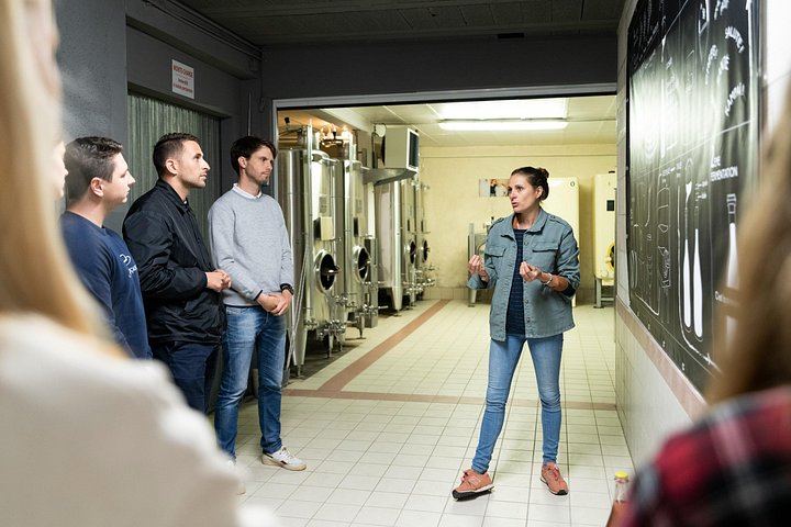 Full-Day Champagne Tour: Mumm Cellars in Reims, Winery Lunch, Hautvillers, Family Grower (11/12)