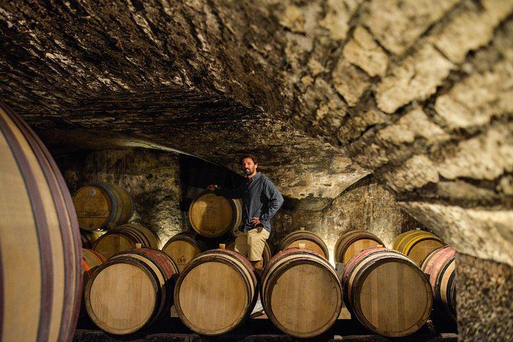 Full-Day Côte d'Or Wine Tour from Dijon: Montrachet Grand Cru, Charcuterie, Family Winery (9/12)