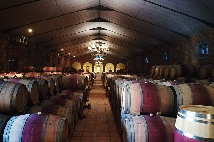 Stellenbosch Guided Vineyard Walk from Zorgvliet to Tokara, Two Tastings and Lunch (6/7)