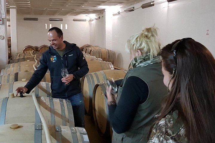Stellenbosch Valley Private Wine Tour with Jim, a Local Winemaker and Guide (4/8)