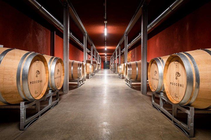 Cantina Moscone in La Morra: Winery Tour and "Il Dosman" Tasting of Three Wines (6/12)