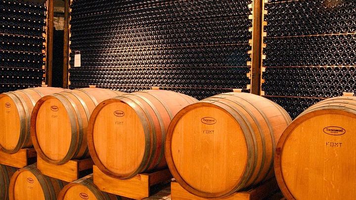 Malbec Experience at Bodega Tierras Altas, Luján de Cuyo: Vineyards and Barrel Tasting (2/5)