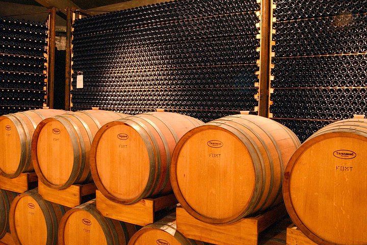 Malbec Experience at Bodega Tierras Altas, Luján de Cuyo: Vineyards and Barrel Tasting (2/5)