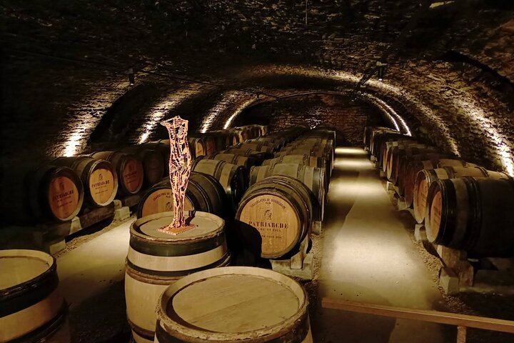 Private Lyon Day Trip to Beaune, Gevrey-Chambertin and Côte de Nuits Cellars (6/12)