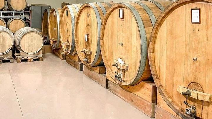 Ca'Neuva Family Farm Winery in Dogliani: Seven-Wine Tasting and Cellar Visit (4/12)