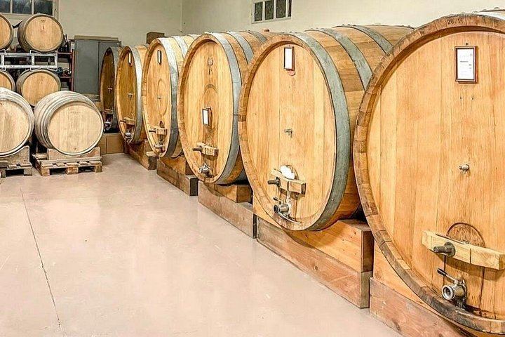 Ca'Neuva Family Farm Winery in Dogliani: Seven-Wine Tasting and Cellar Visit (4/12)