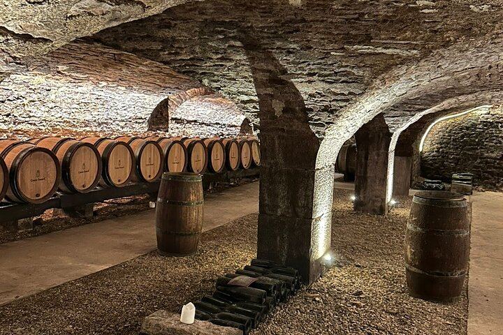 Private Lyon Day Trip to Beaune, Gevrey-Chambertin and Côte de Nuits Cellars (1/12)