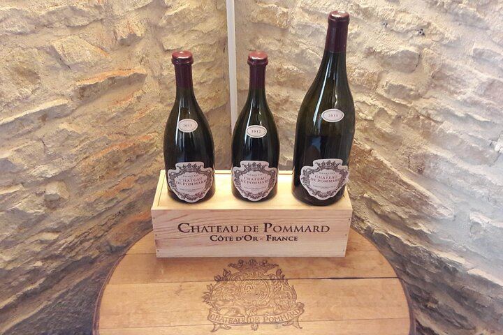 Private Lyon Day Trip to Beaune, Gevrey-Chambertin and Côte de Nuits Cellars (7/12)