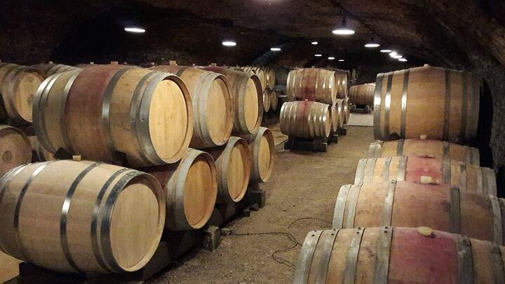 Private Lyon Day Trip to Beaune, Gevrey-Chambertin and Côte de Nuits Cellars (3/12)