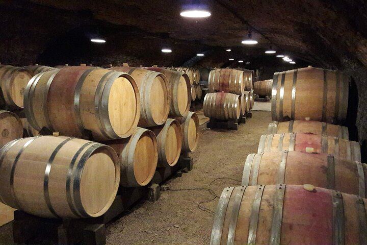 Private Lyon Day Trip to Beaune, Gevrey-Chambertin and Côte de Nuits Cellars (3/12)