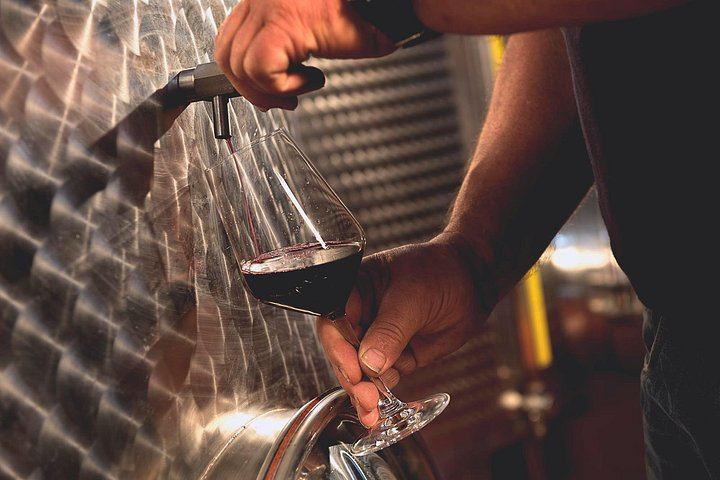 Ca'Neuva Family Farm Winery in Dogliani: Seven-Wine Tasting and Cellar Visit (11/12)