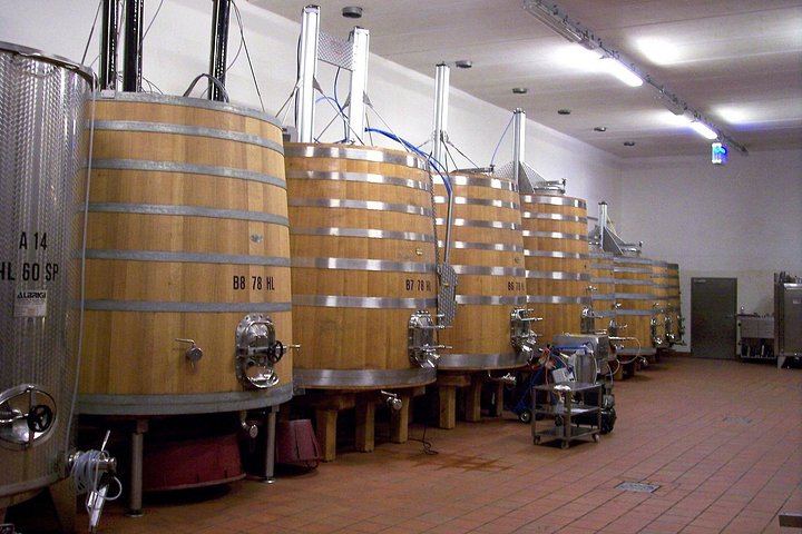Chianti Classico Private Minivan Day from Florence: Montefioralle, Panzano and Farm Lunch (11/12)