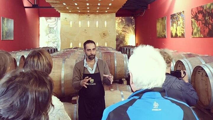 Cesani Winery Tasting in Pancole: Five Wines, Olive Oil and Pecorino (2/12)