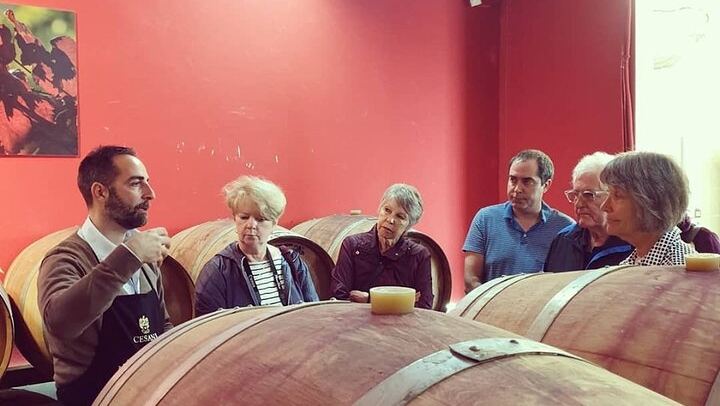 Cesani Winery Tasting in Pancole: Five Wines, Olive Oil and Pecorino (4/12)