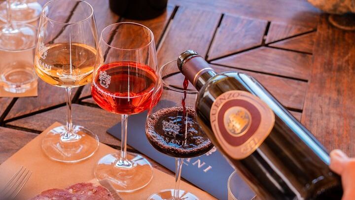 Cesani Winery Tasting in Pancole: Five Wines, Olive Oil and Pecorino (1/12)