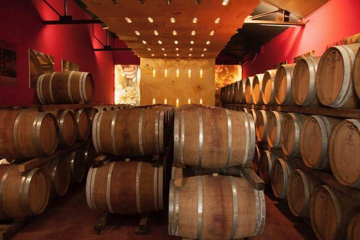 Cesani Winery Tasting in Pancole: Five Wines, Olive Oil and Pecorino (9/12)