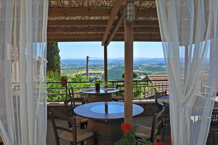 Cesani Winery Tasting in Pancole: Five Wines, Olive Oil and Pecorino (11/12)