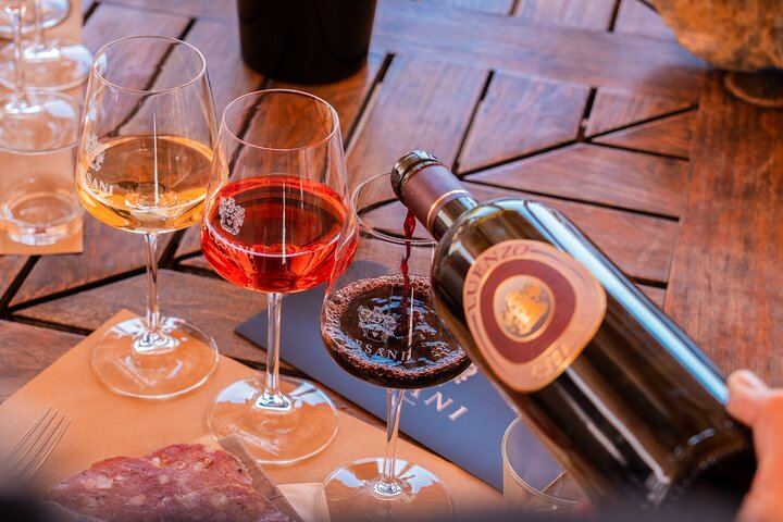 Cesani Winery Tasting in Pancole: Five Wines, Olive Oil and Pecorino (1/12)