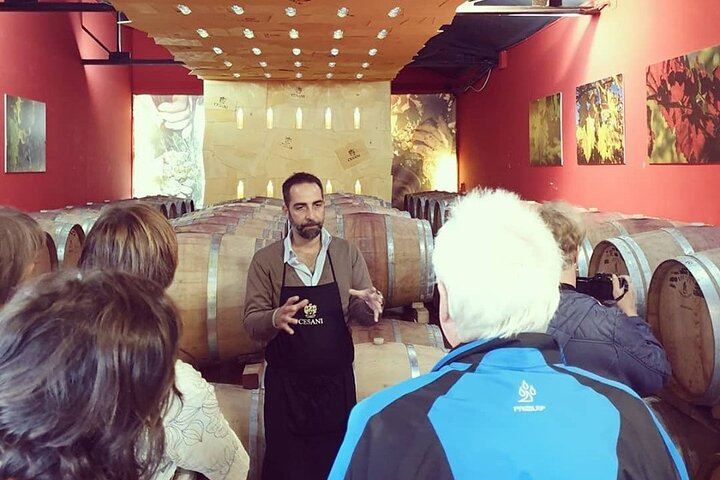 Cesani Winery Tasting in Pancole: Five Wines, Olive Oil and Pecorino (2/12)