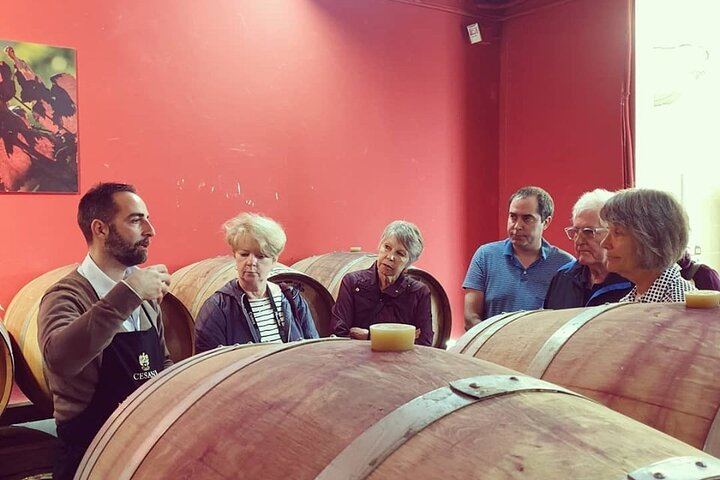 Cesani Winery Tasting in Pancole: Five Wines, Olive Oil and Pecorino (4/12)