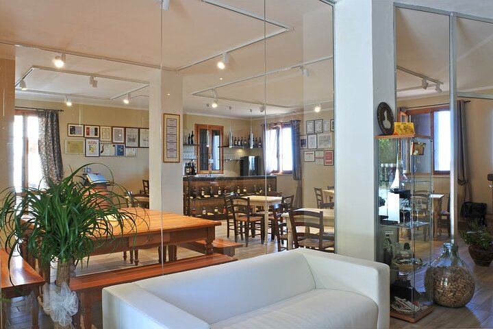 Cesani Winery Tasting in Pancole: Five Wines, Olive Oil and Pecorino (5/12)