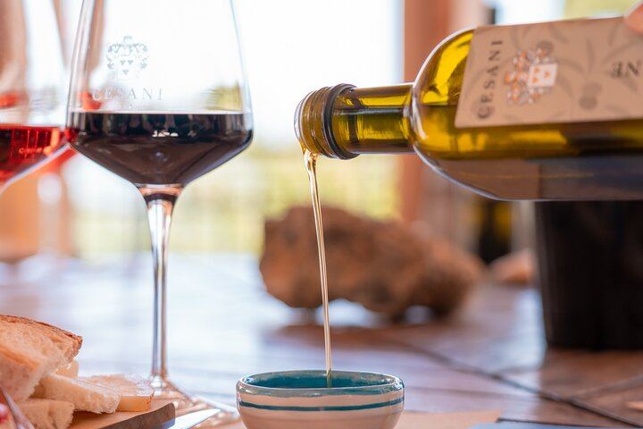 Cesani Winery Tasting in Pancole: Five Wines, Olive Oil and Pecorino (7/12)