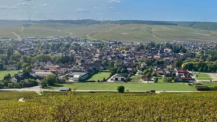 Private Paris to Chablis & Pommard Tour: 3 Guided Visits, 15 Wines, Mercedes Minivan (3/12)
