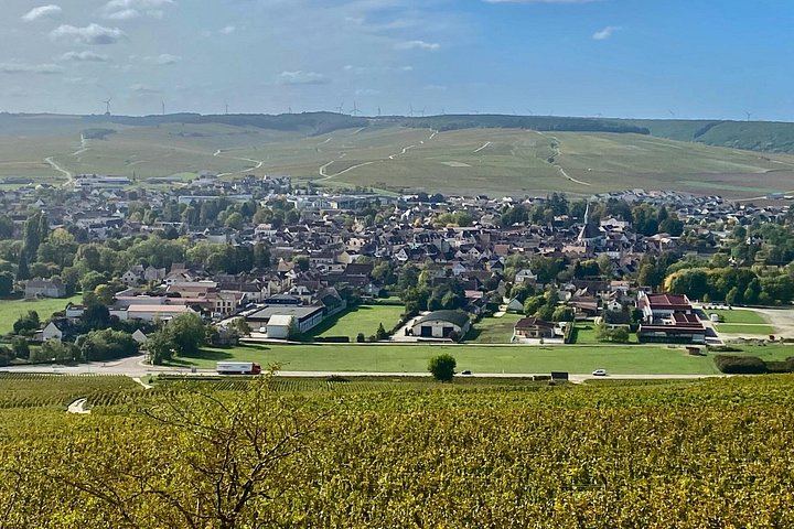 Private Paris to Chablis & Pommard Tour: 3 Guided Visits, 15 Wines, Mercedes Minivan (3/12)