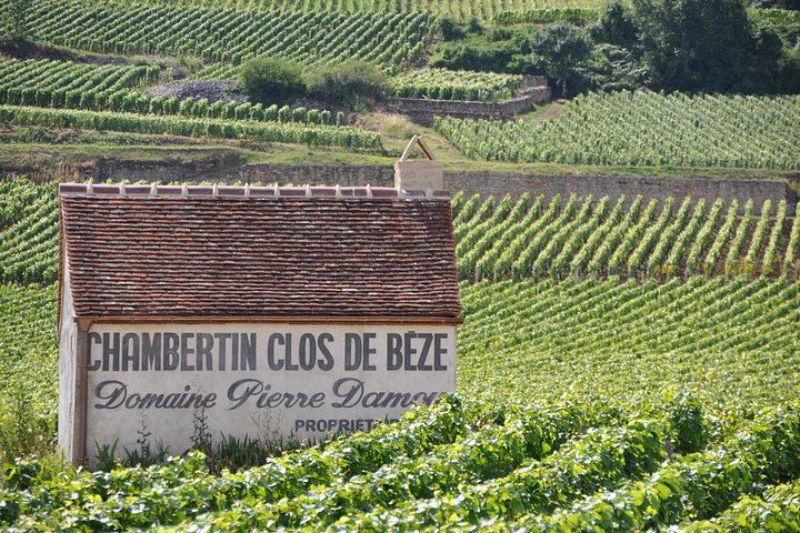 Full-Day Private Burgundy Tour: 3 Tastings, Estate Lunch, 6 Premiers & Grands Crus (6/12)