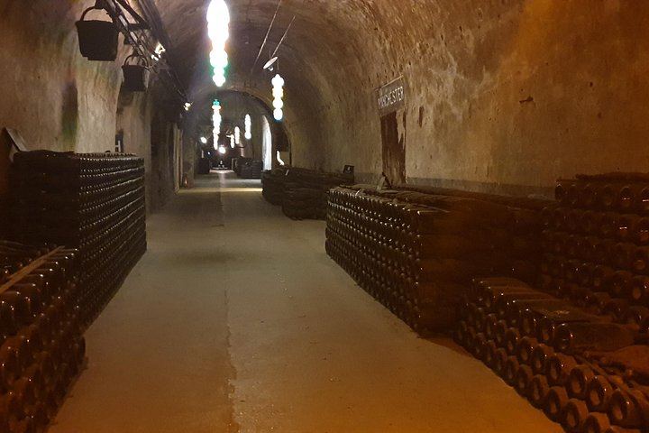 Self-Guided Champagne Day in Reims: Veuve Clicquot, Pommery, Taittinger Cellars, Lunch (4/12)