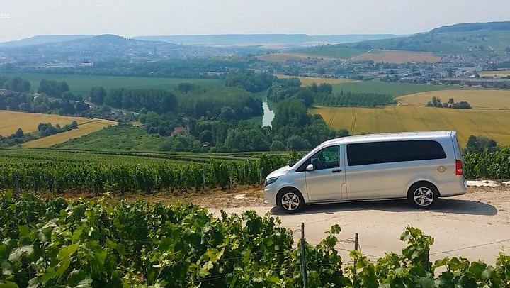 Champagne Day Trip from Reims: City Sightseeing, Three Family Growers, Nine Tastings (4/10)
