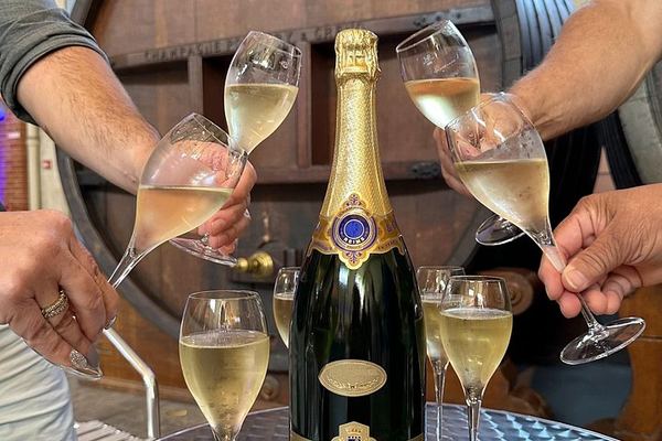 Champagne Day Trip from Reims: City Sightseeing, Three Family Growers, Nine Tastings