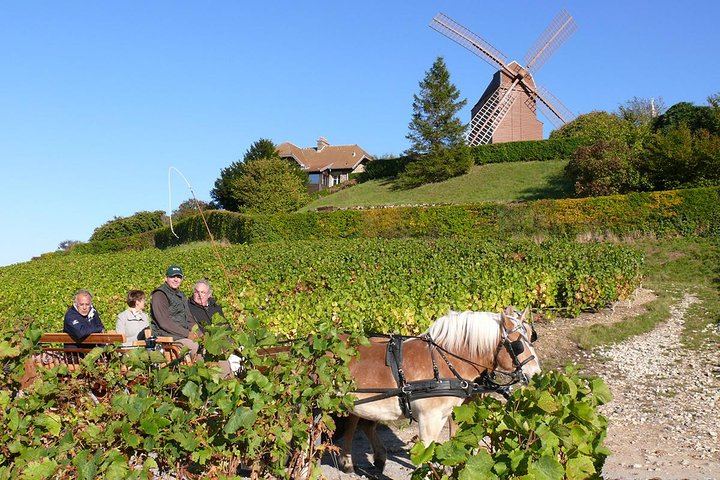 Champagne Day Trip from Paris: Four Tastings, Verzenay Lighthouse, Reims Cathedral (6/12)