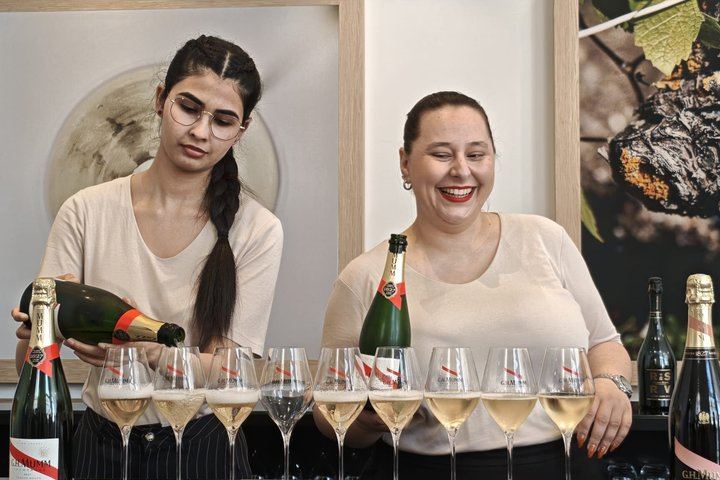 Champagne Day Trip from Paris: Four Tastings, Verzenay Lighthouse, Reims Cathedral (9/12)