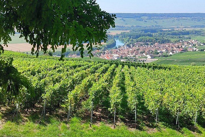 Champagne Day Trip from Reims: City Sightseeing, Three Family Growers, Nine Tastings (1/10)