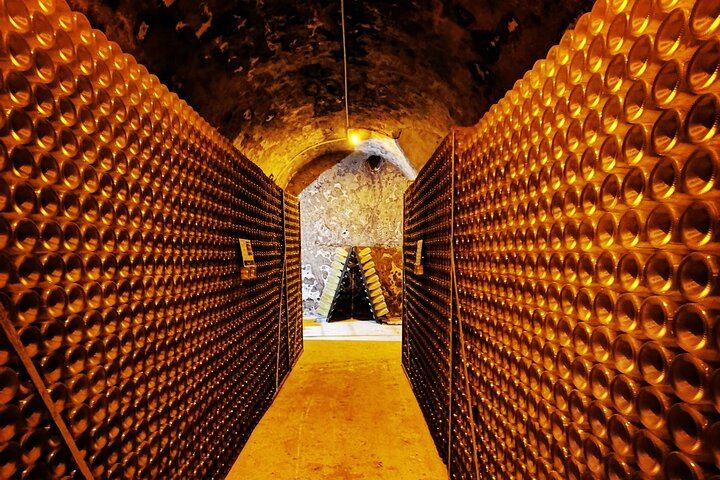Champagne Day Trip from Reims: City Sightseeing, Three Family Growers, Nine Tastings (7/10)